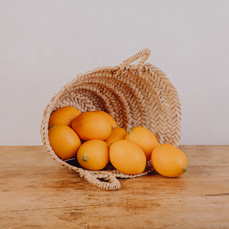 Citrons artificiels - Lot de 10