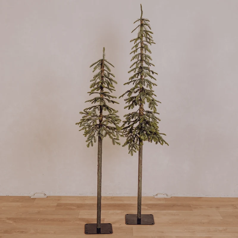 Sapin Alpin vert